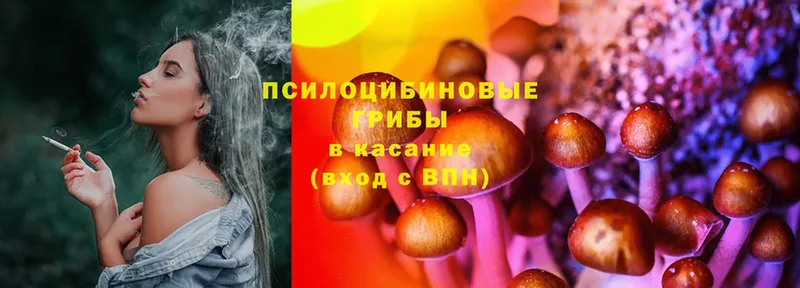 Галлюциногенные грибы Cubensis  Нефтекумск 